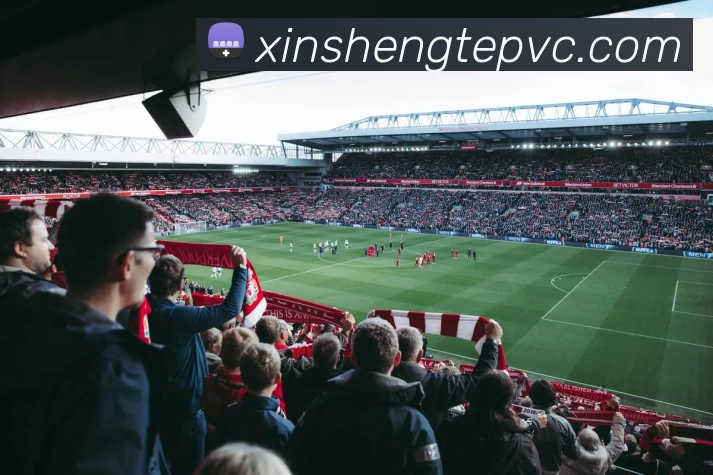 辅助工具 辅助工具